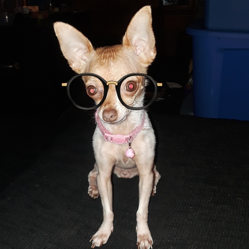 Meet your Posher, Teresa